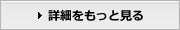 詳細をもっと見る